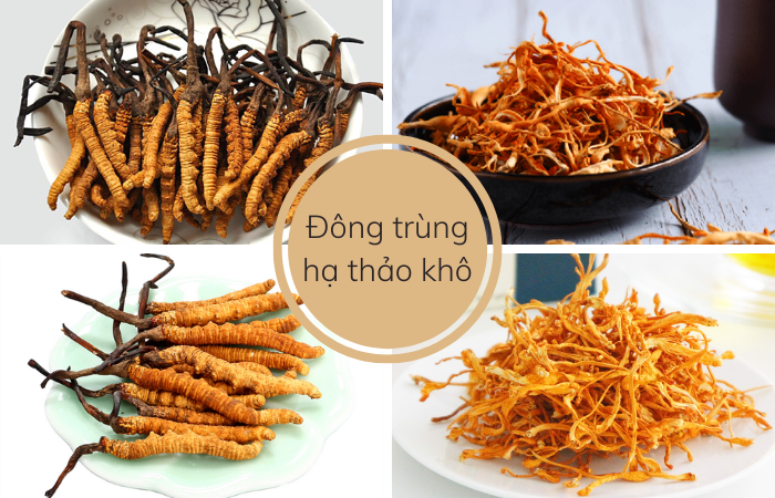 Đông trùng hạ thảo, hàng chuẩn loại 1, nguyên liệu làm chè dưỡng nhan, pha trà, hầm canh, nấu cháo, ngâm mật ong