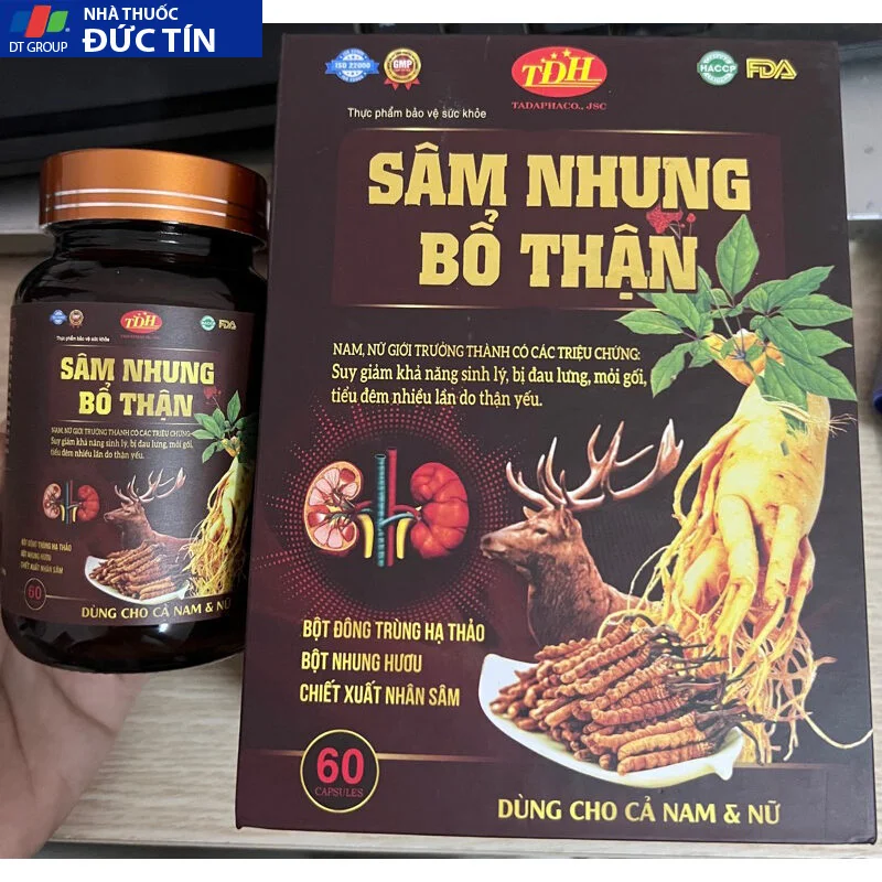 Sâm nhung bổ thận Cordycep Oyster