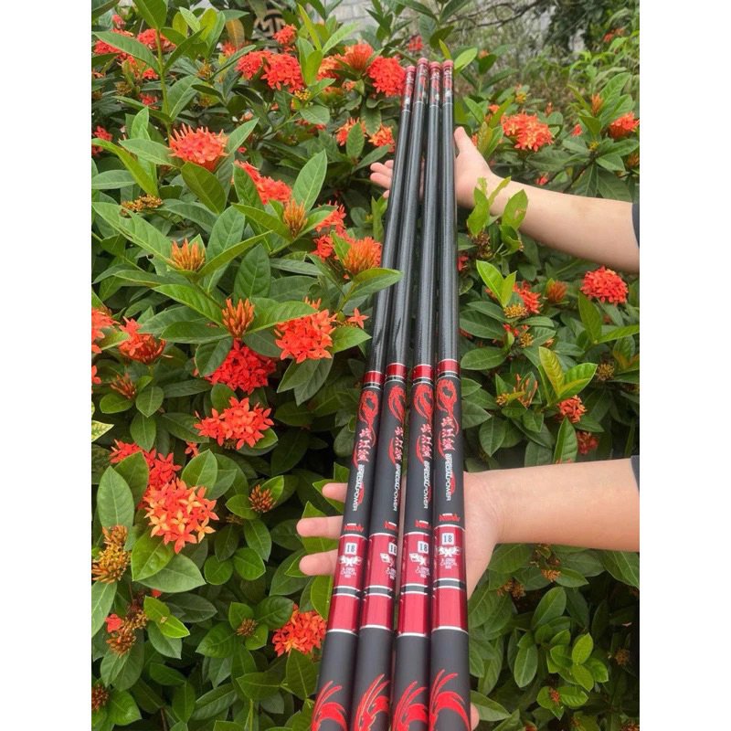 Cần Tay Xích Long 6H Tặng Kèm Đọt Phụ + Nhẫn và ốp cần