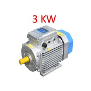 Động cơ điện Motor Toàn Phát 4 HP - 3 KW