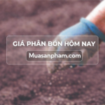 Bảng Giá Phân Bón Hôm Nay