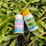 Ami Green Cho Lan – Phân Bón Kích Rễ, Dưỡng Lá Và Phục Hồi Lan Suy Hiệu Quả