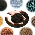 Phân Hữu Cơ Vi Sinh Là Gì? Công Dụng, Cách Dùng Và Lợi Ích Cho Đất & Cây Trồng