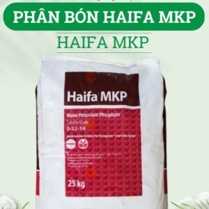 (Hỏa tốc - TT) 1kg Phân bón nhỏ giọt Haifa MKP 0-52-34 kích rễ, thúc cây phát triển chính hãng SKU 49401558372