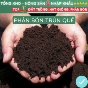 Phân trùn quế hữu cơ chất lượng cao bổ sung dinh dưỡng cải tạo đất dùng cho rau hoa củ quả cây chính hãng SKU 24071706376