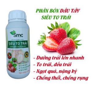 PHÂN BÓN DÂU TÂY SIÊU TO TRÁI 500ML, DƯỠNG TRÁI LỚN NHANH, QUẢ TO NẶNG KÝ, BÓNG TRÁI, ĐẸP TRÁI chính hãng SKU 26054399282
