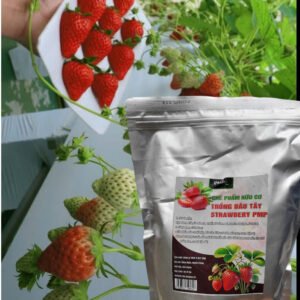 PHÂN HỮU CƠ CHUYÊN DỤNG CHO DÂU TÂY STRAWBERRY PMP -túi 1kg chính hãng SKU 26079497237