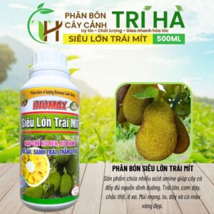 PHÂN BÓN SIÊU LỚN TRÁI MÍT 500ml - Nở Gai Xanh Trái Thẳng trái- To Trái Nặng Kí - Tăng năng suất chính hãng SKU 25133327120