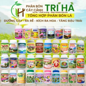 TỔNG HỢP PHÂN BÓN LÁ CHUYÊN DÙNG CHO HOA LAN, HOA KIỂNG, RAU MÀU - CÂY TRỒNG CÁC LOẠI chính hãng SKU 28305156348