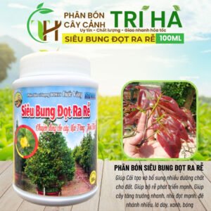 [ Rẻ ] PHÂN BÓN SIÊU BUNG ĐỌT RA RỄ MAI VÀNG-HOA KIỂNG 100ml- Phân Bón Cuốc Vàng -Nảy Chồi Xanh Lá chính hãng SKU 29304997943