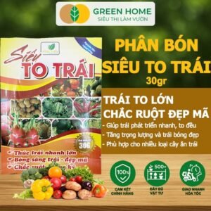 5 Gói Phân Bón Siêu To Trái, GreenHome, Gói 30Gr, Thúc Trái Nhanh Lớn, Chắc Ruột, Nặng Ký, Đẹp Mã chính hãng SKU 29810279005