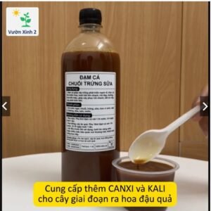 Đạm cá đậm đặc 1 lít phân bón hữu cơ, xanh lá, bật mầm, sai hoa đậu quả, phân bón rau và hoa chính hãng SKU 29559636699