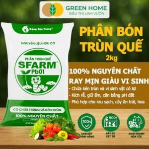 Phân Trùn Quế GreenHome, Bao 2kg, Dinh Dưỡng Hữu Cơ, Không Mùi, Tốt Cho Lan, Bonsai, Rau, Cây Trái. chính hãng SKU 12744021941