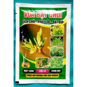 COMBO 50 GÓI PHÂN BÓN VUA BẬT CHỒI.KÍCH CHỒI,PHÁT LỘC GÓI 50GR chính hãng SKU 25130855668