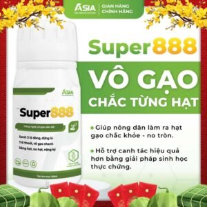 SUPER 888 - Vô gạo nhanh, nặng ký, xanh lá đòng, chắc hạt, chín tới cậy - Phân bón qua lá 250ml chính hãng SKU 24271982459