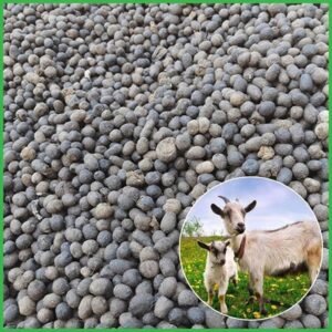 Phân dê đã xử lý sạch và đóng bao 3kg - 5kg - 10kg sẽ bón cho hoa lan cây cảnh và rau màu chính hãng SKU 57404612809