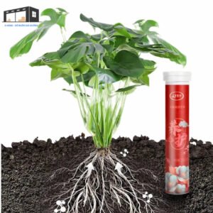 Lọ 22 Viên Phân Bón Hữu Cơ Siêu Dưỡng Chuyên Dụng Cho Cây Cảnh, Bonsai chính hãng SKU 24956563221