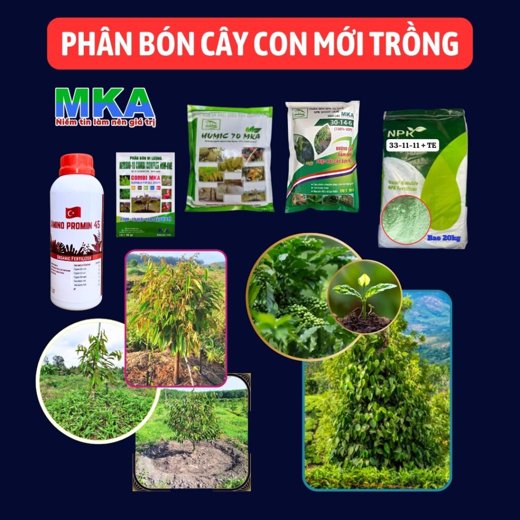 Cách Làm Bón Phân Cho Cây Mới Trồng Khiến Cây Nhanh Bén Rễ, Phát Triển Khỏe Hơn
