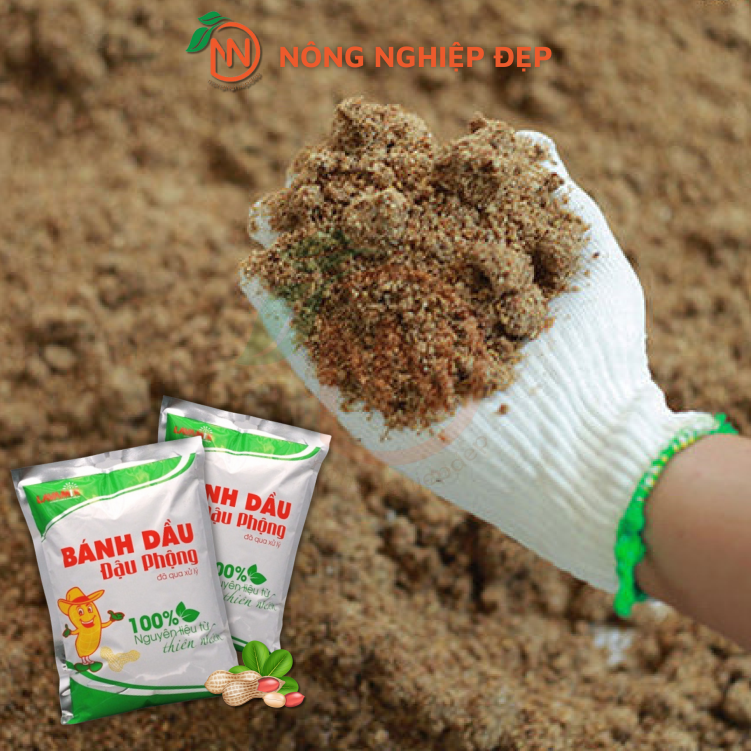 Phân Bánh Dầu – Phân Bón Hữu Cơ Giúp Cây Trồng Xanh Tốt, Năng Suất Cao