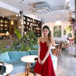 Váy nữ cao cấp phong cách Hàn Quốc thời trang