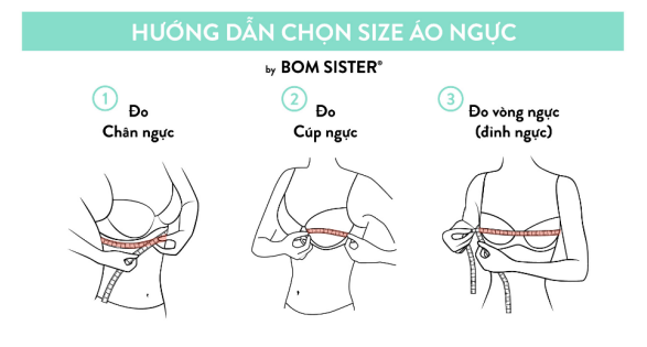 Hướng dẫn đo vòng 1