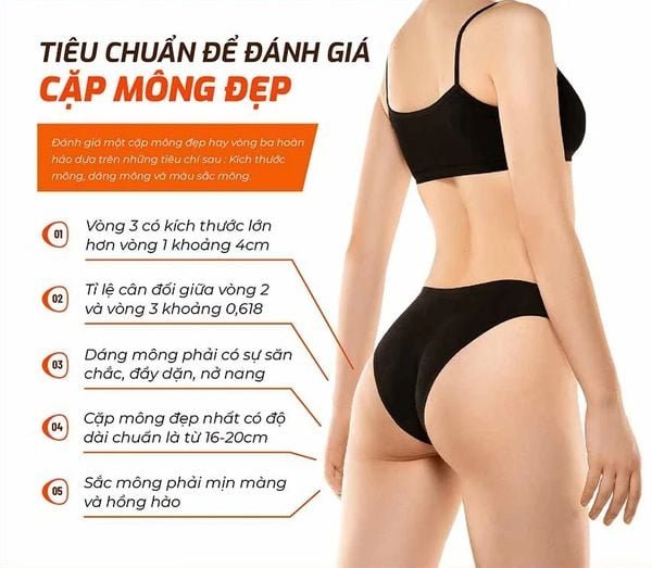 3 vòng của cơ thể nữ