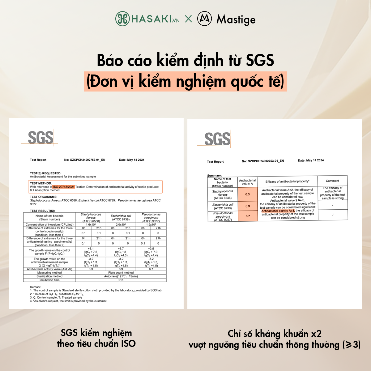 Mút Tán Nền Trang Điểm Mastige Kháng Khuẩn Màu Đen