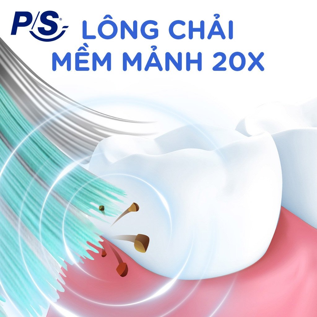 Bàn Chải Đánh Răng P/S 4D Chăm Sóc Nướu Khỏe (1 Cây)