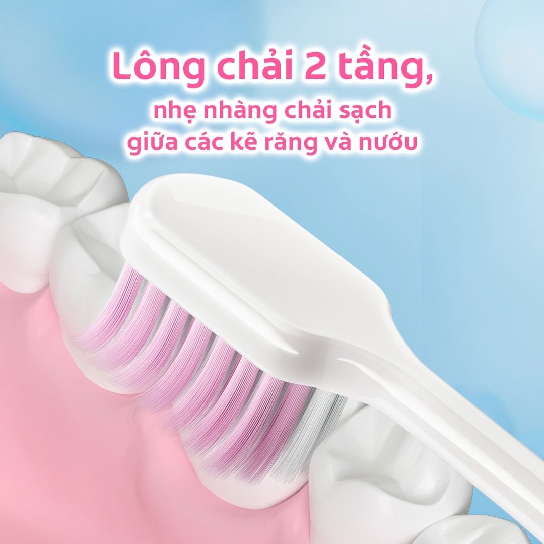 Bộ 2 Bàn Chải Đánh Răng Colgate (Màu Ngẫu Nhiên)