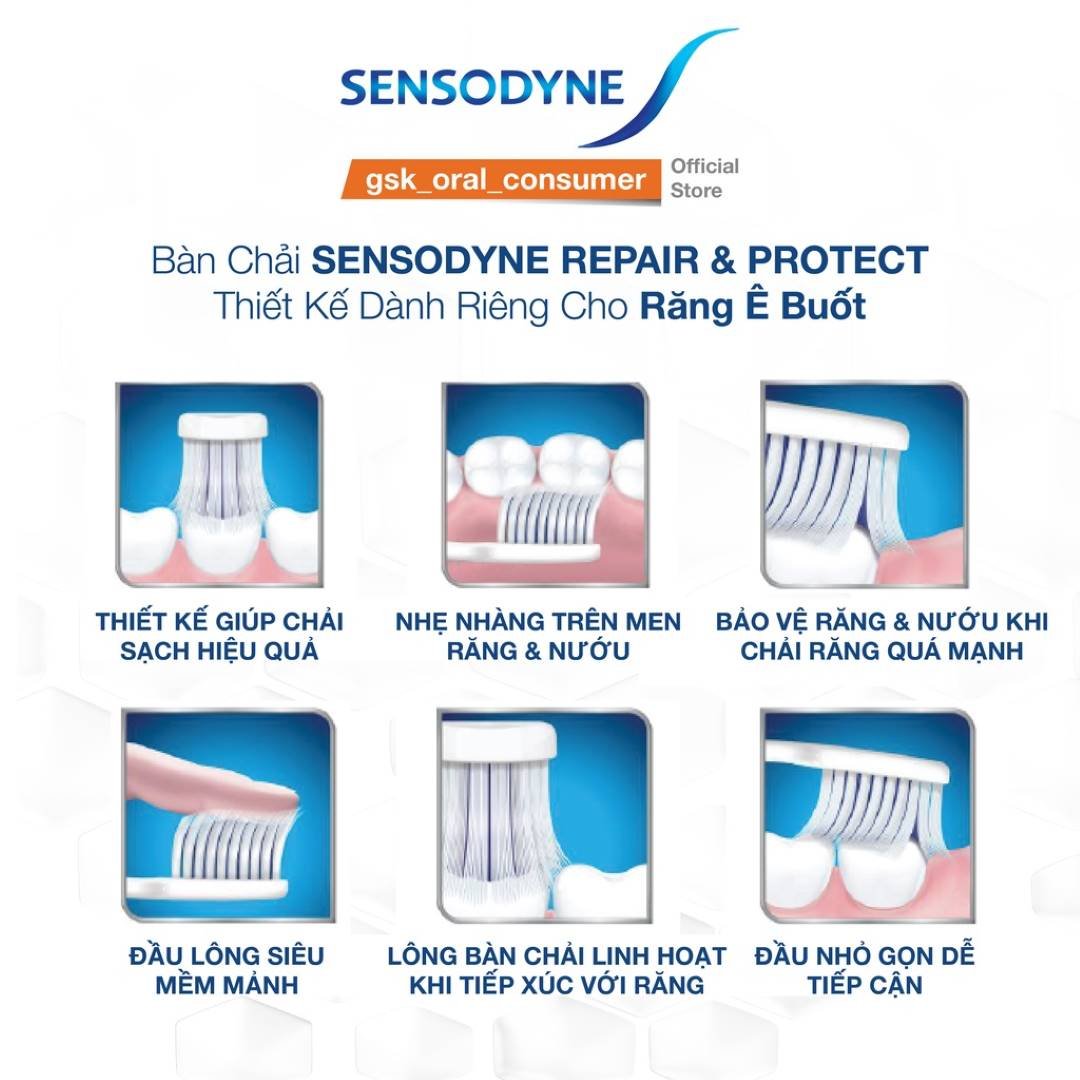 Bộ 3 Bàn Chải Đánh Răng Sensodyne Chăm Sóc Răng Ê Buốt