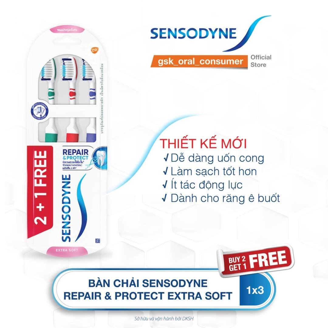 Bộ 3 Bàn Chải Đánh Răng Sensodyne Chăm Sóc Răng Ê Buốt