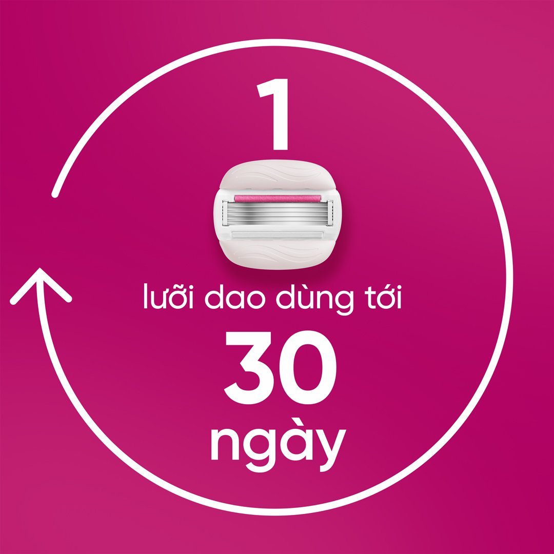 Dao Cạo Nữ Gillette Hương Olay Sugarberry (1 Cán + 2 Lưỡi)