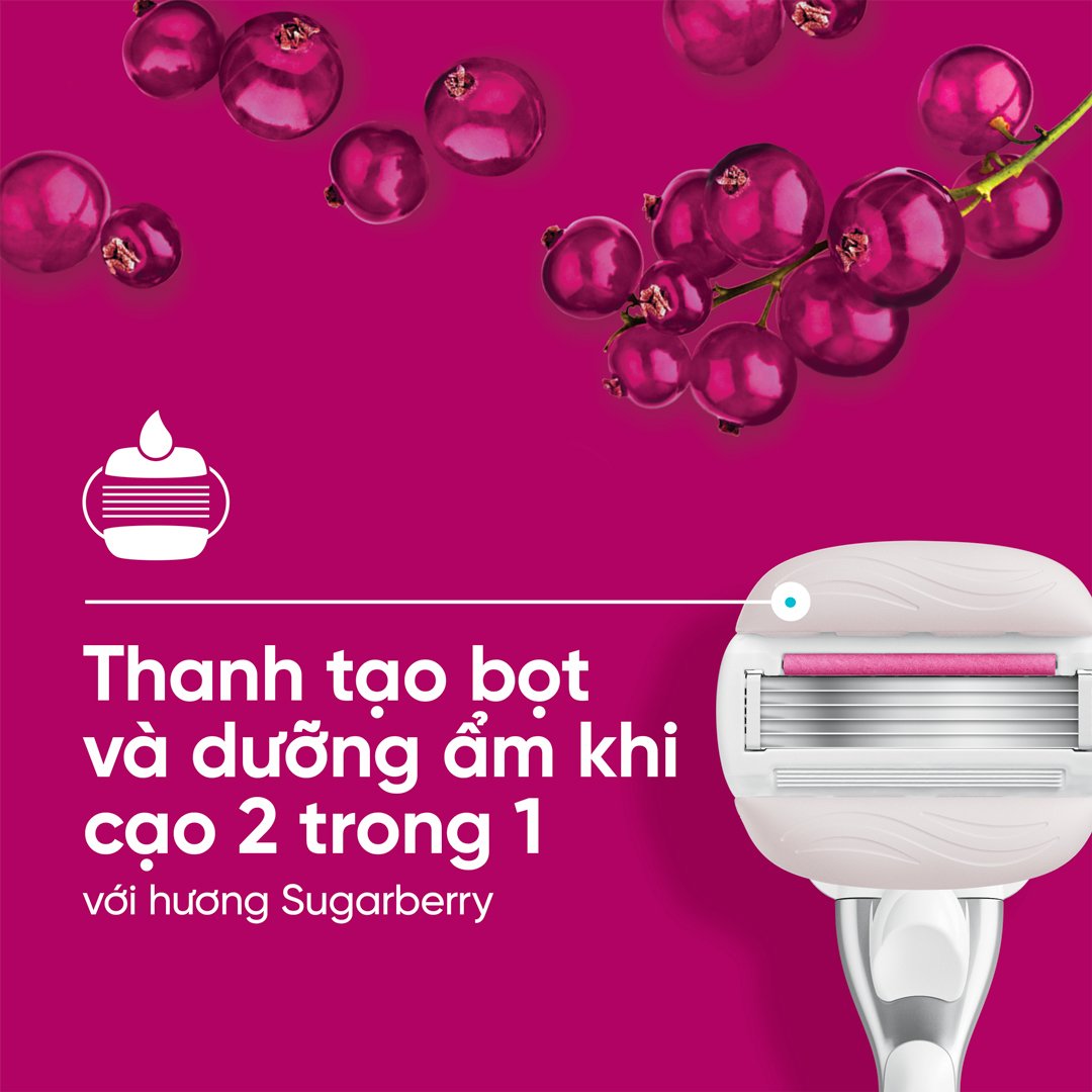 Dao Cạo Nữ Gillette Hương Olay Sugarberry (1 Cán + 2 Lưỡi)