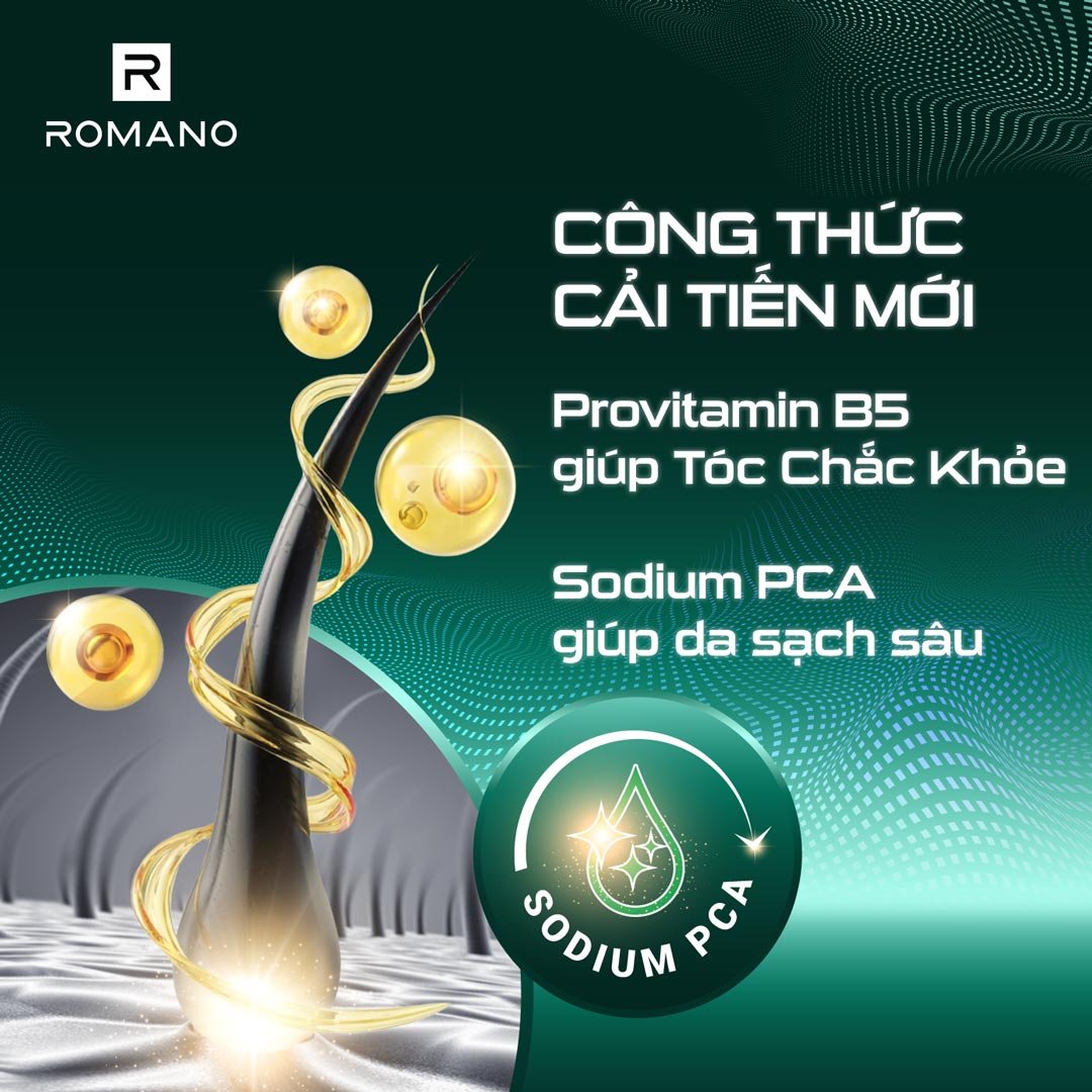 Tắm Gội 2 Trong 1 Romano Hương Nước Hoa Gentleman 650g