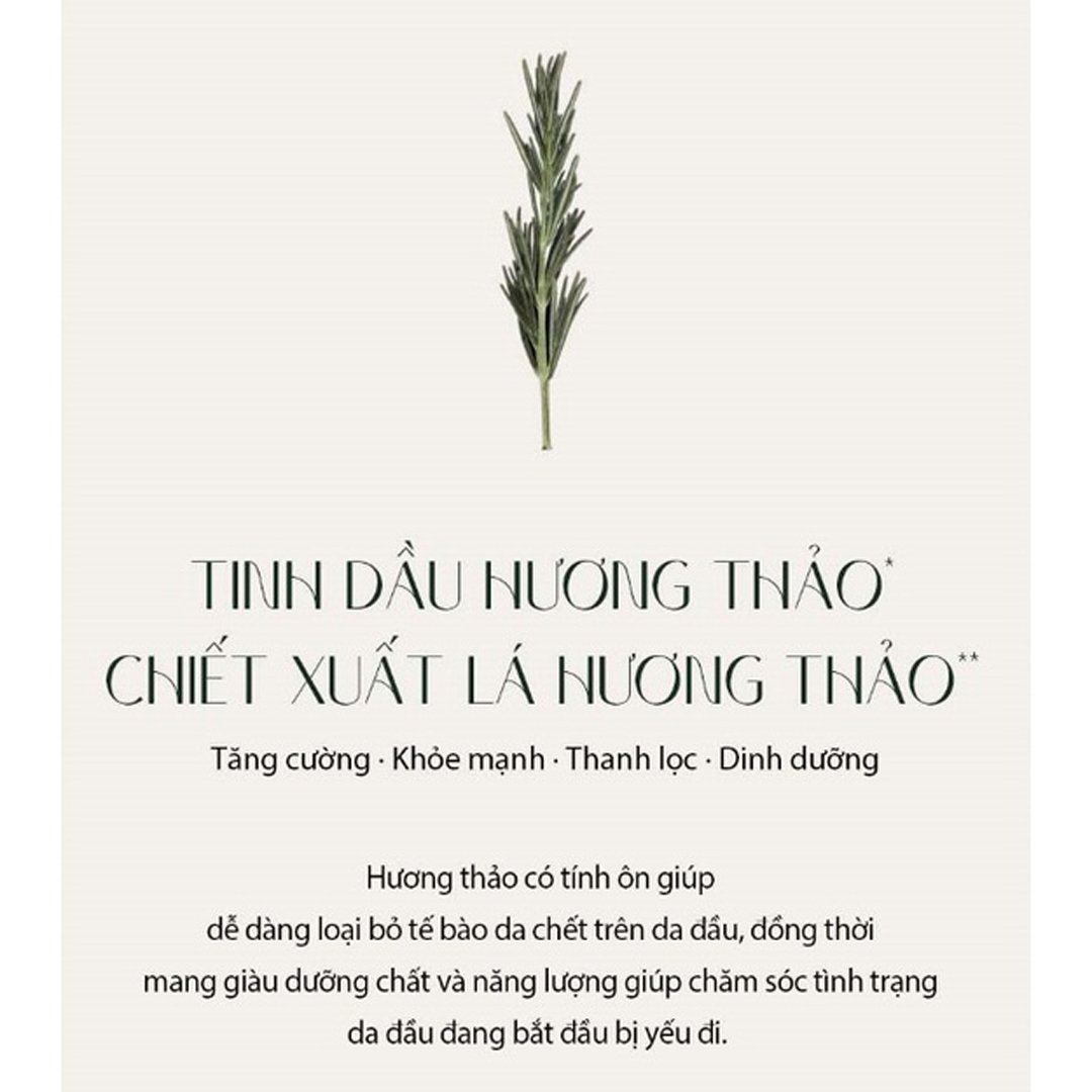 Xịt Dưỡng Chân Tóc Aromatica Chiết Xuất Hương Thảo 100ml